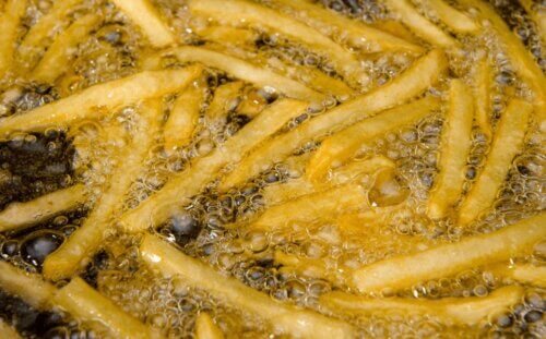 fryer oil fries